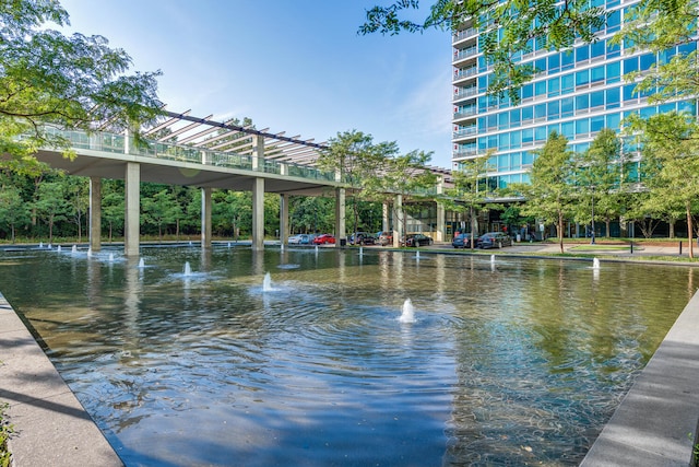 9715 Woods Dr Unit 700, Skokie, IL 60077 - view of community