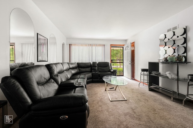 754 E 158th St, South Holland, IL 60473 - carpeted living room with arched walkways