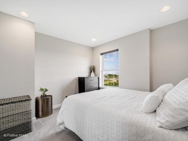 1058 Bartholdi Ct, Carol Stream, IL 60188 - bedroom featuring carpet flooring and recessed lighting
