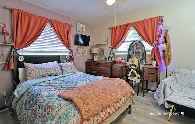 38159 N Geraghty Ave, Beach Park, IL 60087 - bedroom featuring light wood finished floors