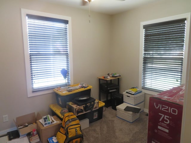 1210 N Western Ave, Bloomington, IL 61701 - photo 9