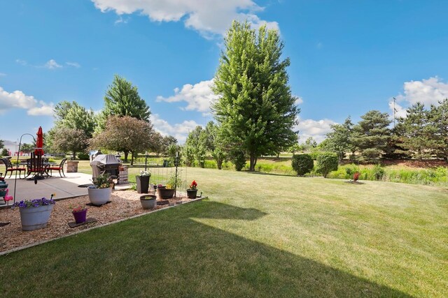 12820 Tipperary Ln, Plainfield, IL 60585 - view of grassy yard with a patio area