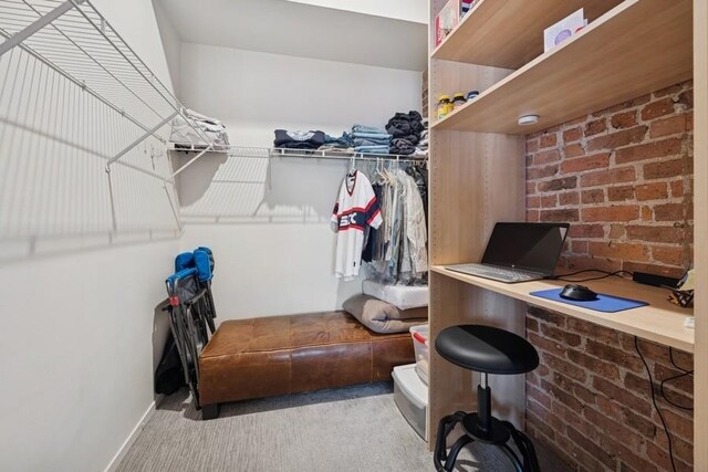 420 S Clinton St Unit 614A, Chicago, IL 60607 - walk in closet with carpet flooring
