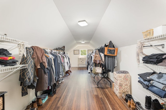 5284 Harvey Rd, Caledonia, IL 61011 - spacious closet with wood finished floors and lofted ceiling