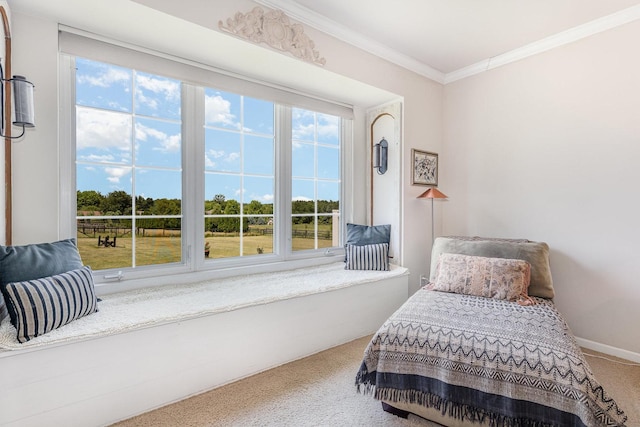 5284 Harvey Rd, Caledonia, IL 61011 - living area with carpet floors, plenty of natural light, and crown molding