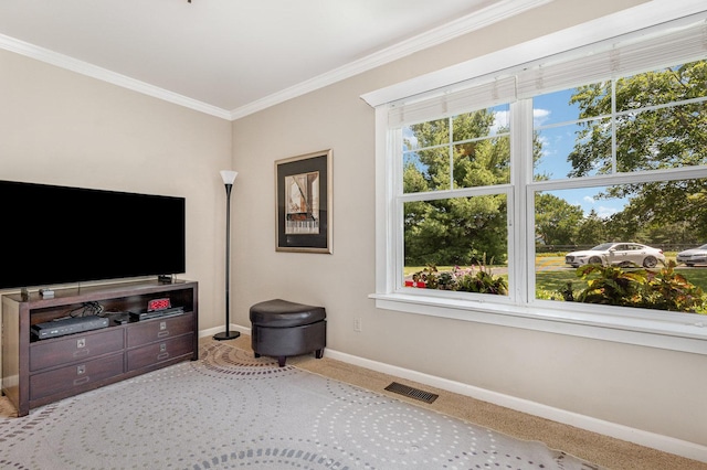 5284 Harvey Rd, Caledonia, IL 61011 - carpeted living area with baseboards and ornamental molding