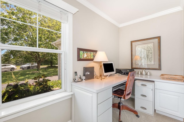 5284 Harvey Rd, Caledonia, IL 61011 - office area featuring ornamental molding and light carpet