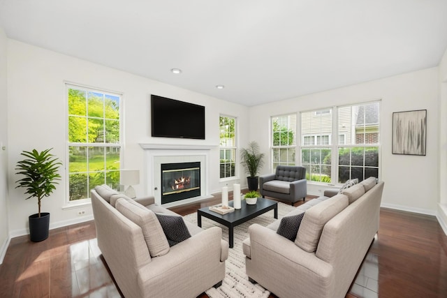 881 Dandridge Ct, Elgin, IL 60120 - living room with a glass covered fireplace, wood finished floors, and recessed lighting