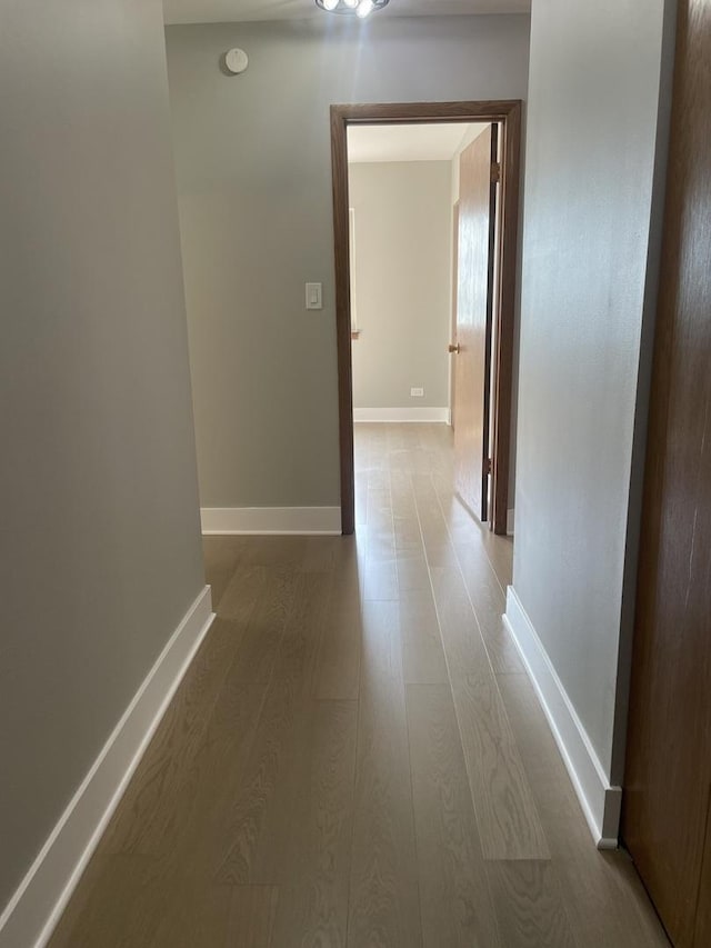 4125 N Keystone Ave Unit 605, Chicago, IL 60641 - corridor featuring wood finished floors and baseboards