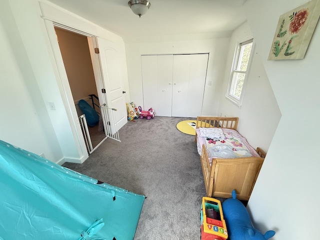 21317 W Shady Ln, Lake Zurich, IL 60047 - recreation room with carpet flooring