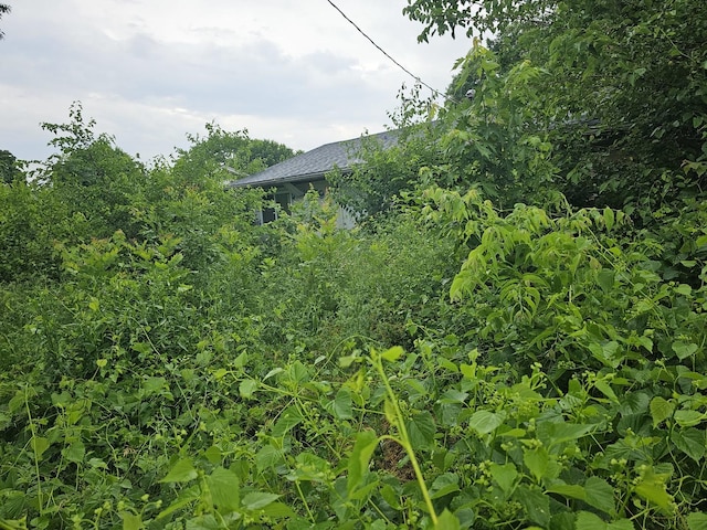 1161 Halloran St, Sauget, IL 62206 - photo 8