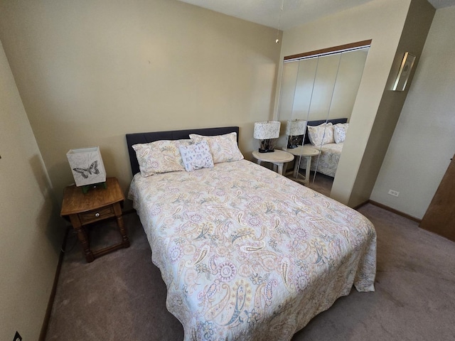 4910 143rd Pl, Midlothian, IL 60445 - bedroom with carpet floors, a closet, and baseboards