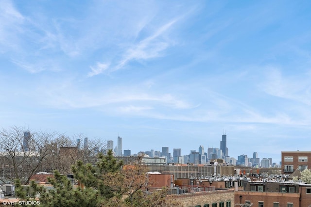 2510 N Wayne Ave Unit 302, Chicago, IL 60614 - view of city skyline