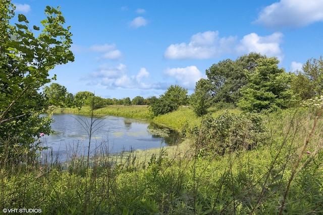 13008 Rockfish Ln, Plainfield, IL 60585 - water view
