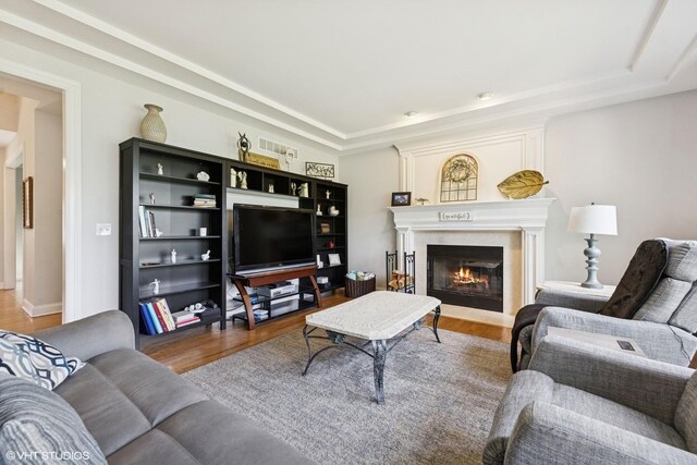 13008 Rockfish Ln, Plainfield, IL 60585 - living area with wood finished floors, a tray ceiling, and a large fireplace