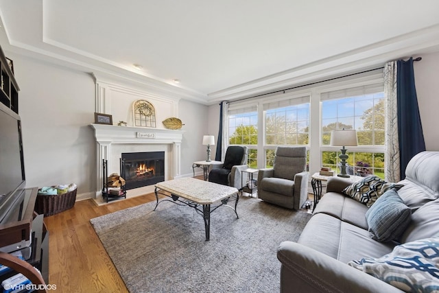 13008 Rockfish Ln, Plainfield, IL 60585 - living area with a large fireplace, a tray ceiling, and wood finished floors
