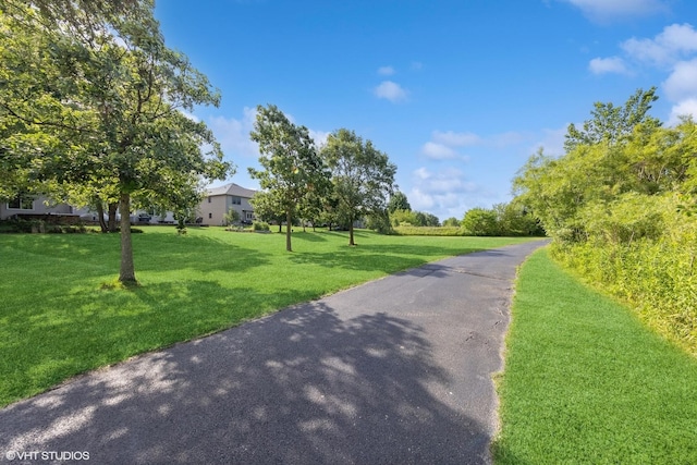 13008 Rockfish Ln, Plainfield, IL 60585 - view of asphalt road