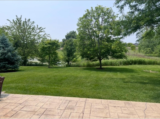 13008 Rockfish Ln, Plainfield, IL 60585 - view of green lawn