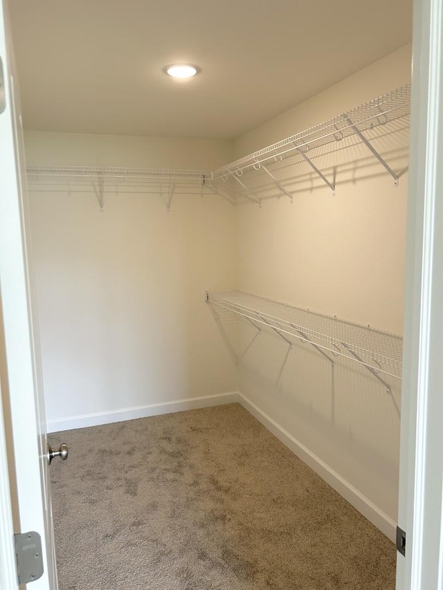5400 135th St Unit 5406, Crestwood, IL 60418 - spacious closet featuring carpet floors