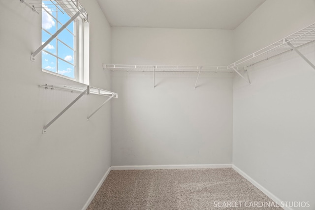 8609 Foxborough Way, Joliet, IL 60431 - spacious closet with carpet flooring