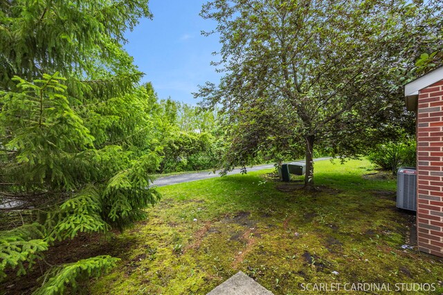 8609 Foxborough Way, Joliet, IL 60431 - view of yard