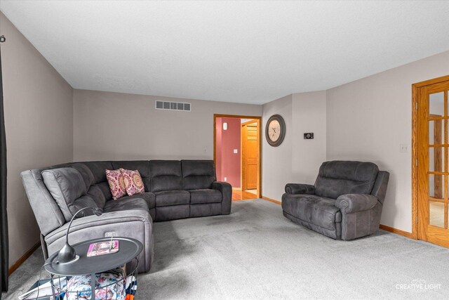 24613 S River Trl, Channahon, IL 60410 - photo 13