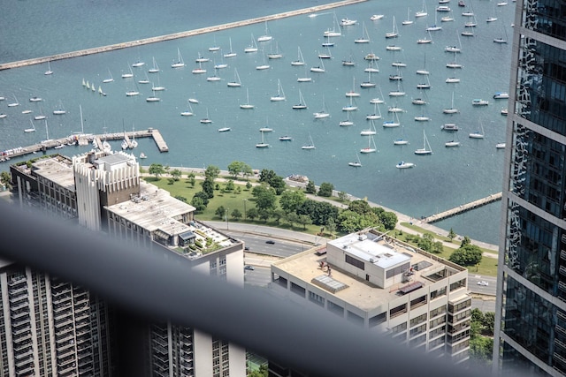 225 N Columbus Dr Unit 8008, Chicago, IL 60601 - water view