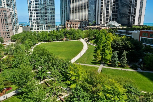 225 N Columbus Dr Unit 8008, Chicago, IL 60601 - view of urban area
