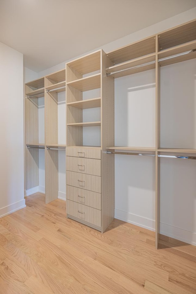 1016 N Hermitage Ave Unit 1, Chicago, IL 60622 - spacious closet with light wood-style floors