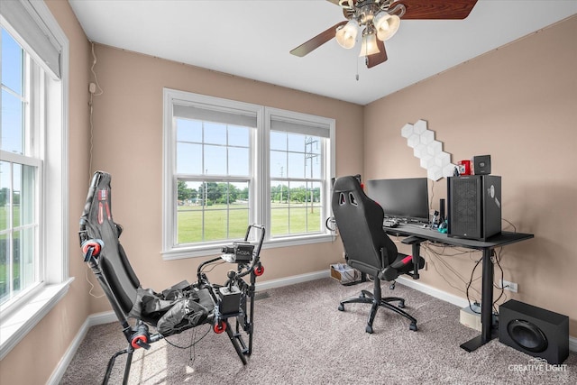 431 Blue Ridge Ct, Oswego, IL 60543 - office space with carpet flooring and ceiling fan