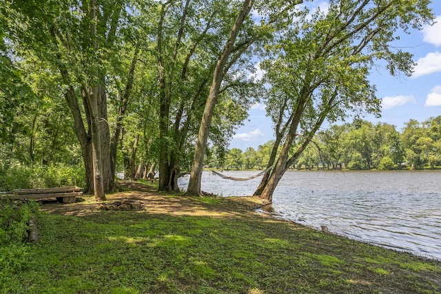 1046 N Riverside Dr, Momence, IL 60954 - water view