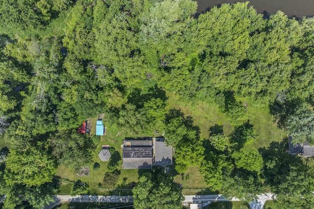 1046 N Riverside Dr, Momence, IL 60954 - aerial view