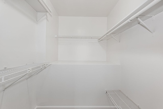 1500 Bunescu Ln, Buffalo Grove, IL 60089 - view of spacious closet
