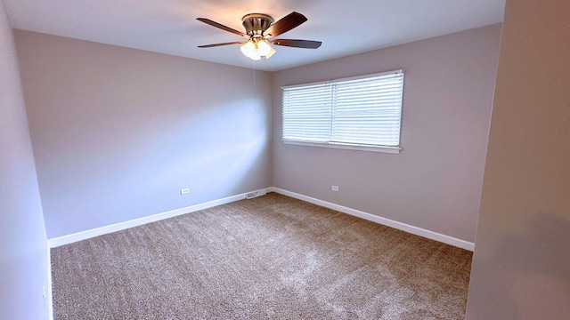 5303 Arquilla Dr, Richton Park, IL 60471 - photo 8