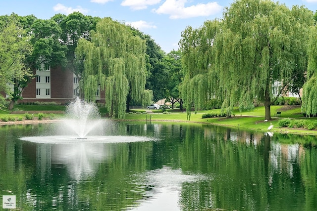 50 Lake Blvd Unit 632, Buffalo Grove, IL 60089 - water view