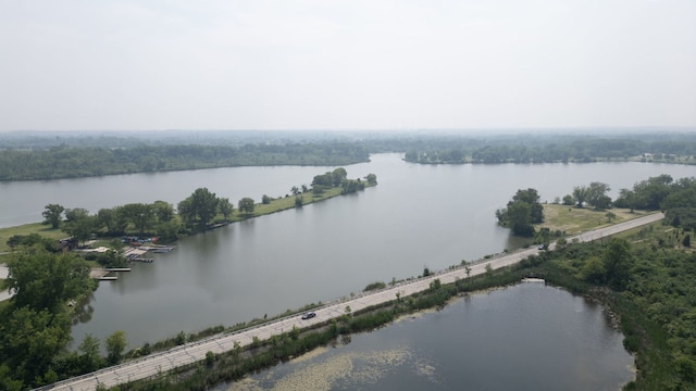 10901 W 131st St, Orland Park, IL 60467 - bird's eye view of a nearby body of water