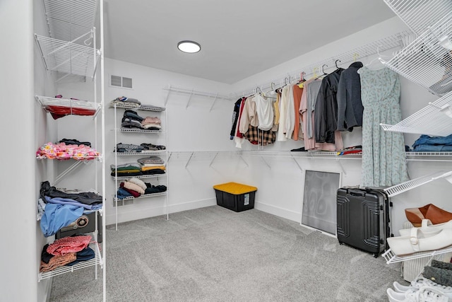 20111 N Woodland Cir, Mokena, IL 60448 - spacious closet featuring carpet flooring