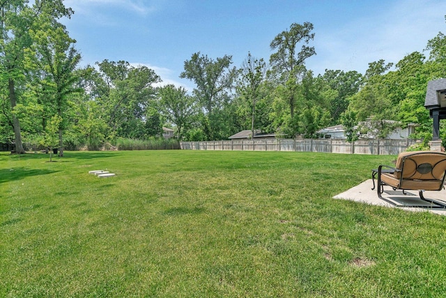 20111 N Woodland Cir, Mokena, IL 60448 - view of yard