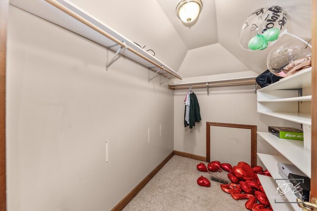 645 Saint Christopher Ct, Aurora, IL 60506 - walk in closet with carpet flooring