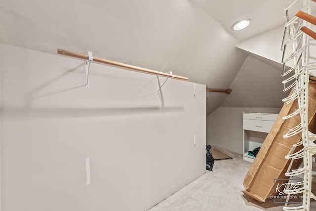 645 Saint Christopher Ct, Aurora, IL 60506 - spacious closet with carpet