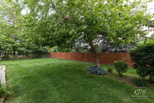 645 Saint Christopher Ct, Aurora, IL 60506 - view of fenced backyard
