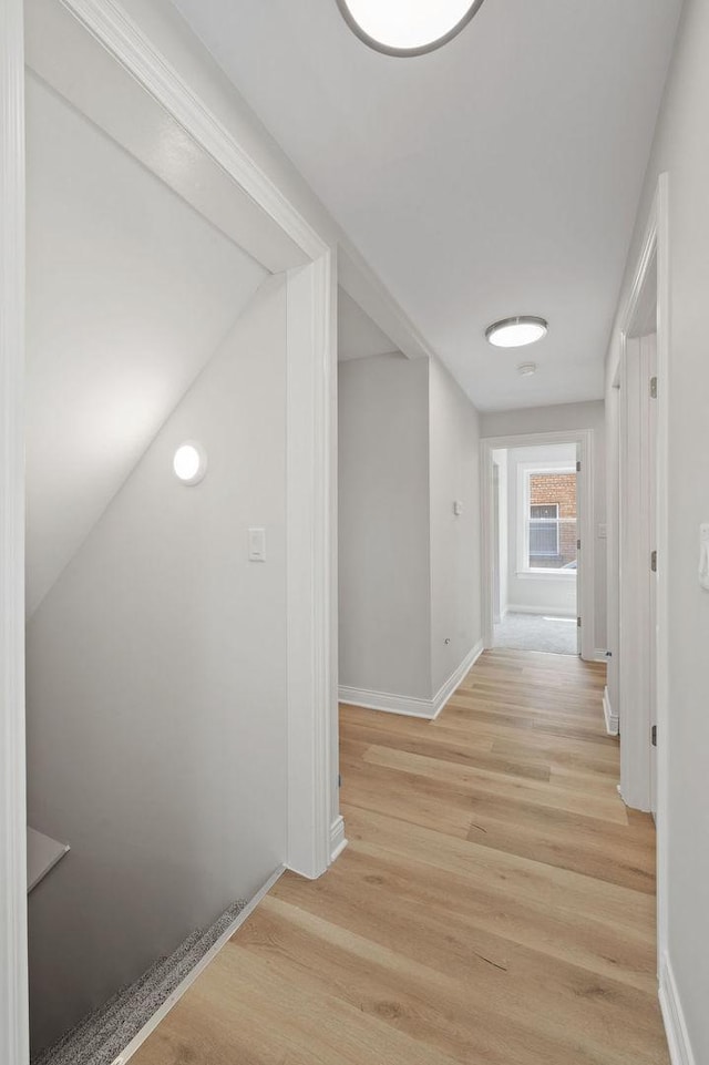 7810 N Neva Ave, Niles, IL 60714 - hallway featuring light wood finished floors and baseboards