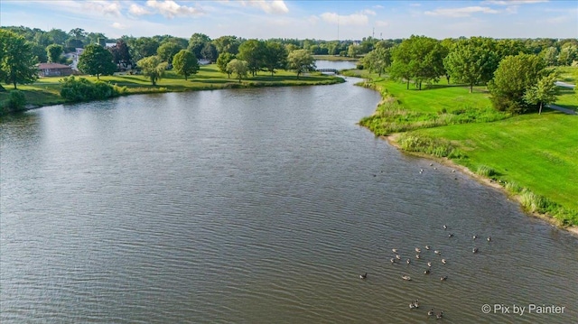 134 Klein Creek Ct Unit 4D, Carol Stream, IL 60188 - water view