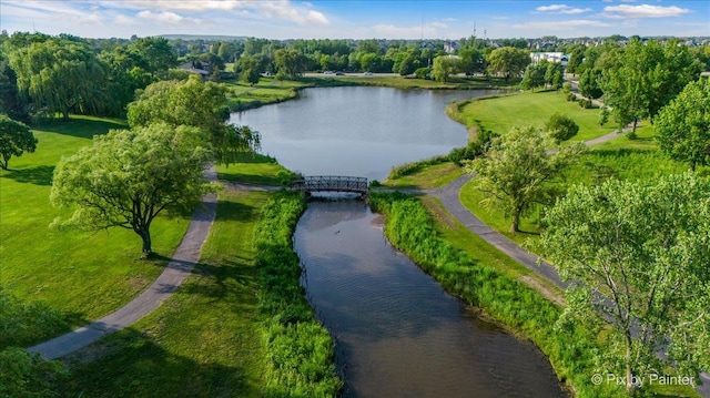 134 Klein Creek Ct Unit 4D, Carol Stream, IL 60188 - view of community featuring a water view and view of scattered trees