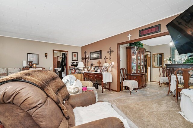 5203 W Court St, Monee, IL 60449 - living area featuring light carpet