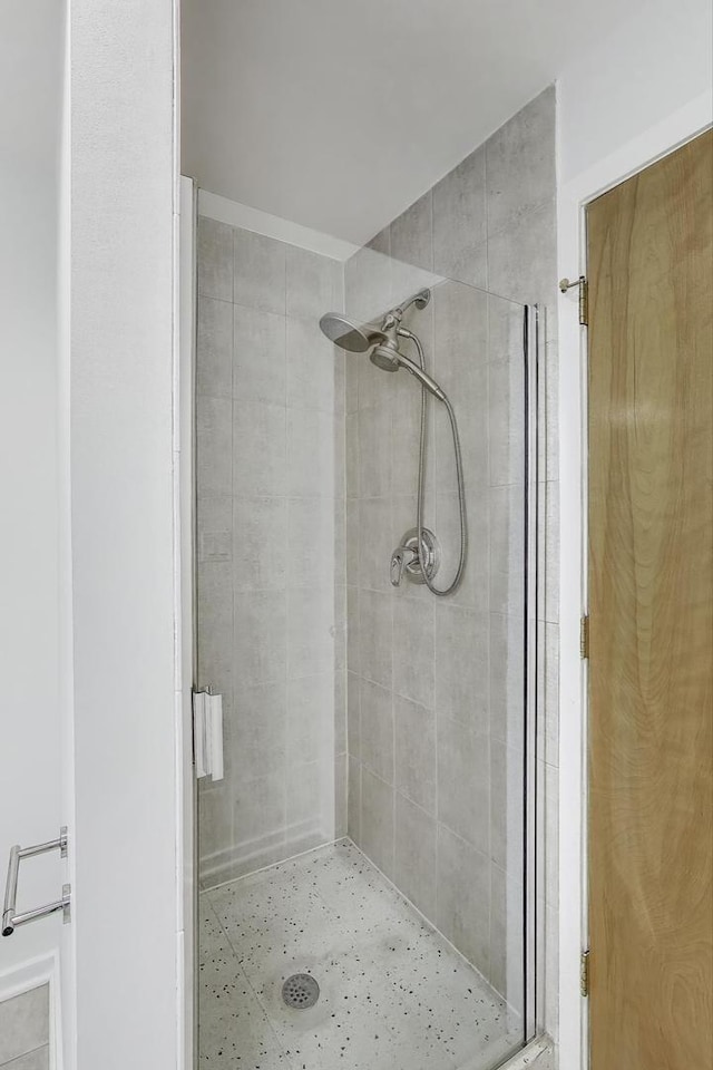 2310 S Canal St Unit 401, Chicago, IL 60616 - bathroom featuring a shower stall