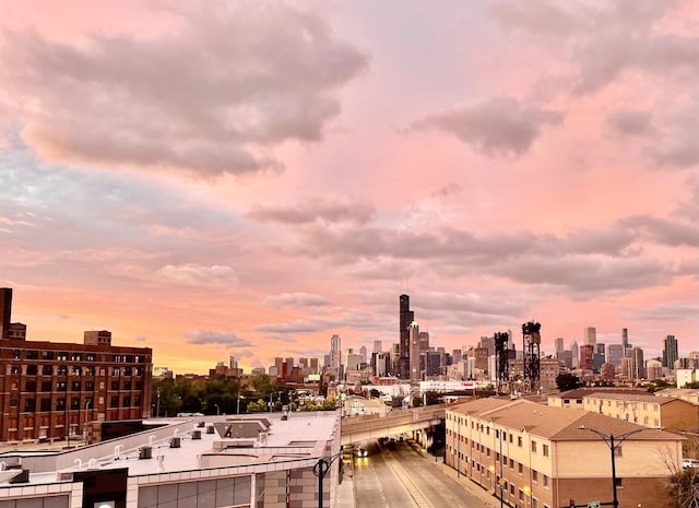 2310 S Canal St Unit 401, Chicago, IL 60616 - skyline view