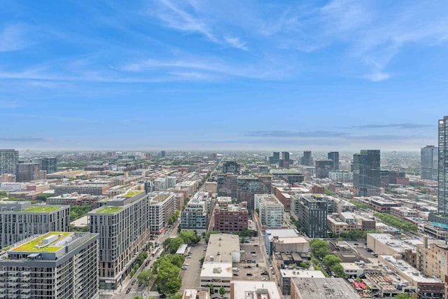 737 W Washington Blvd Unit 3308, Chicago, IL 60661 - city view