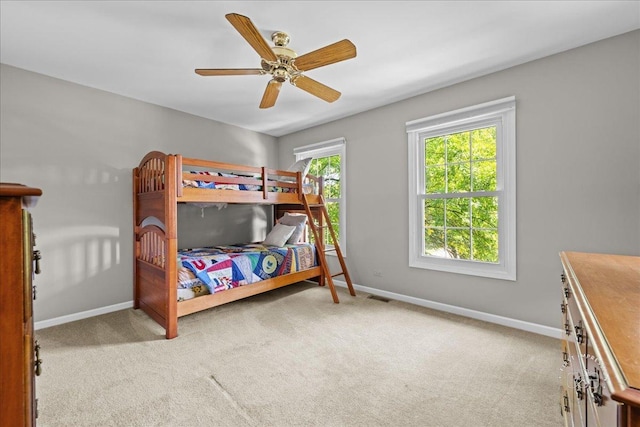 941 Stanton St, Batavia, IL 60510 - photo 25