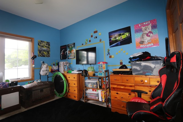 1053 Sycamore St, Beecher, IL 60401 - view of bedroom